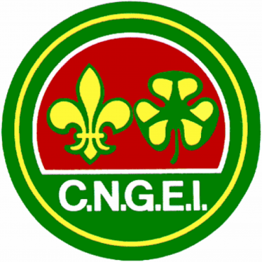CNGEI logo