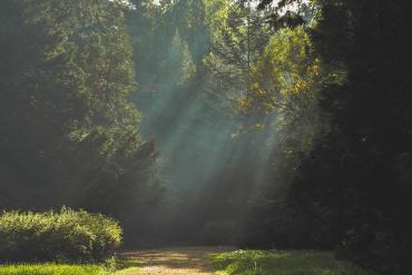 autumn-forest-landscape-21008.jpg