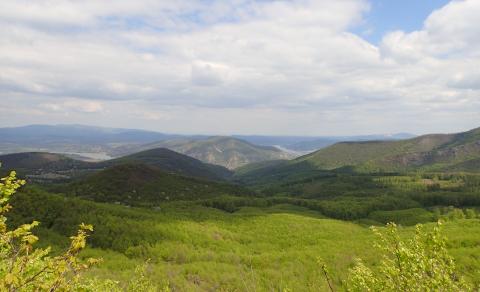 P4191168.JPG