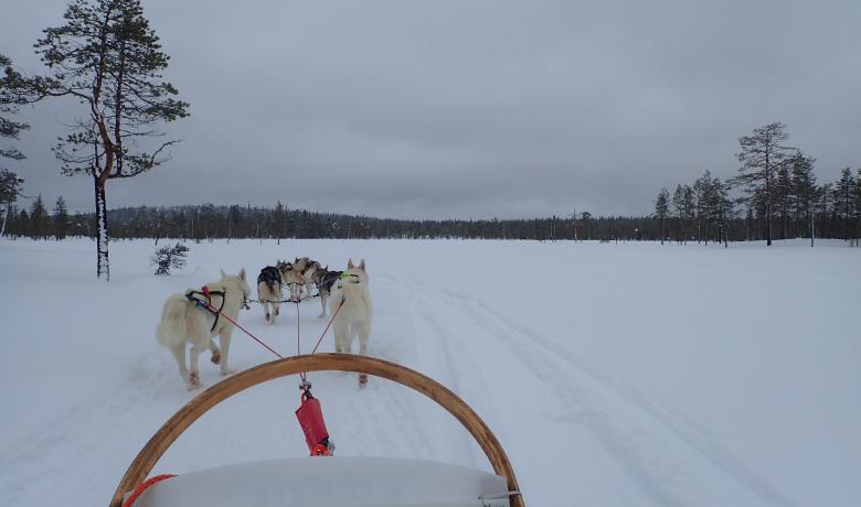 Lappföld