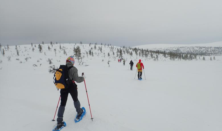 Lappföld