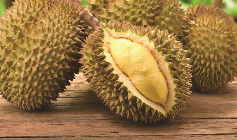 Durian